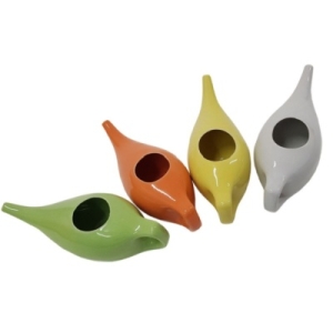 Ceremic Neti Pot Exporters